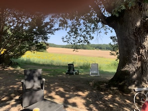 Ein von Bäumen gesäumter Außenbereich mit einem Stuhl und einer Bank, einem Fahrrad und einem Feld im Hintergrund.