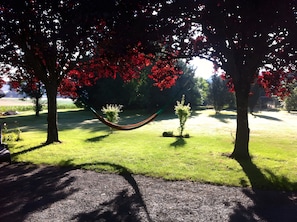 A hammock between two trees in a grassy area.