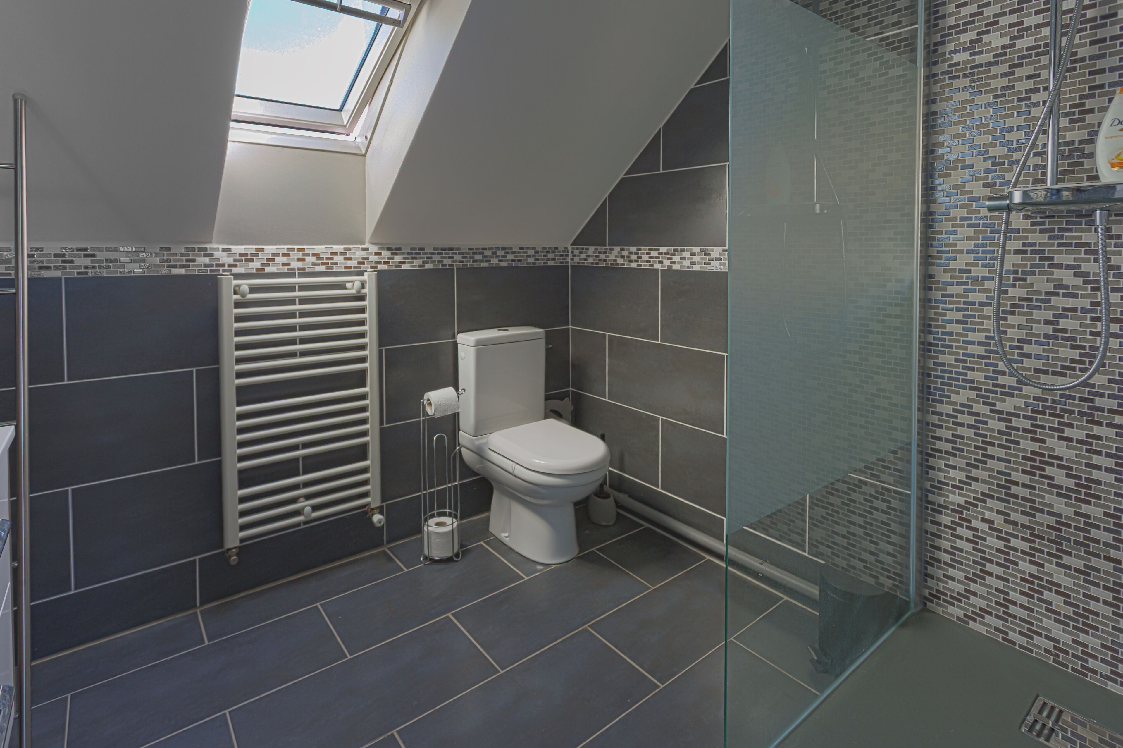 A modern bathroom with a skylight, a glass shower enclosure, and a toilet.