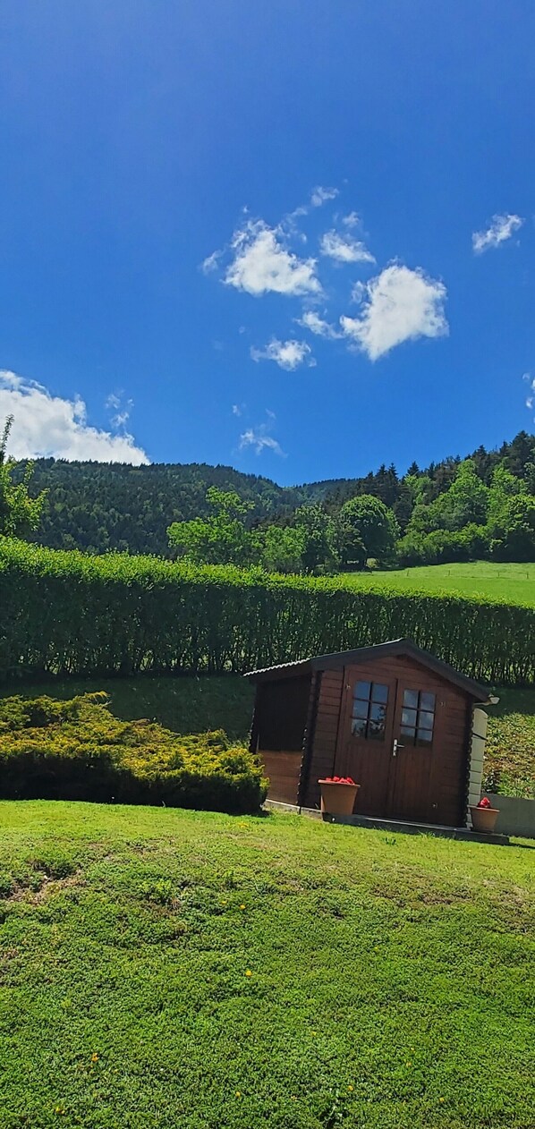 A small wooden cabin with a door and windows, surrounded by lush green fields and a forested hill in the background.