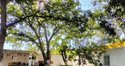 Quinta La Asunción: A Cozy Place to Enjoy with the Family