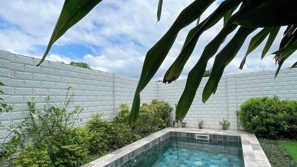 Piscina retangular com borda azulejada, rodeada por um muro baixo e vegetação.