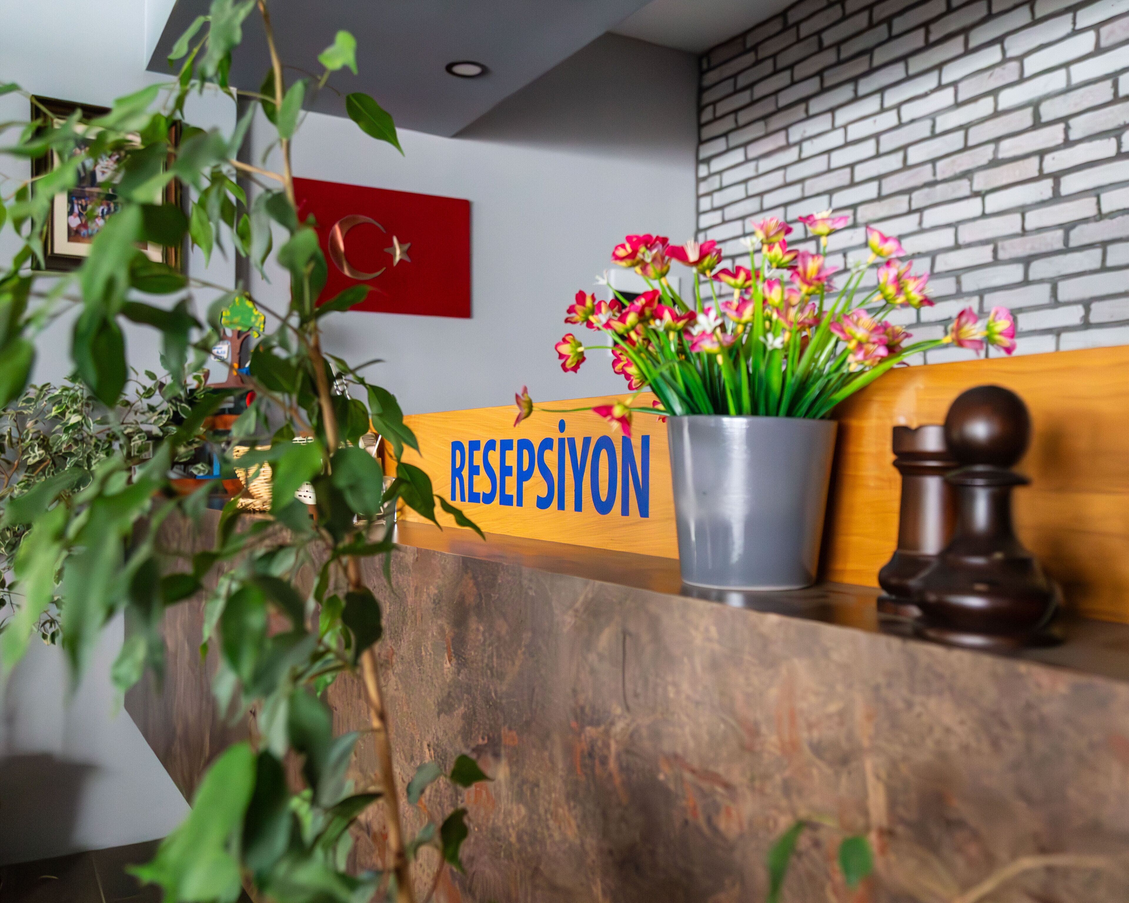 Resepsionis