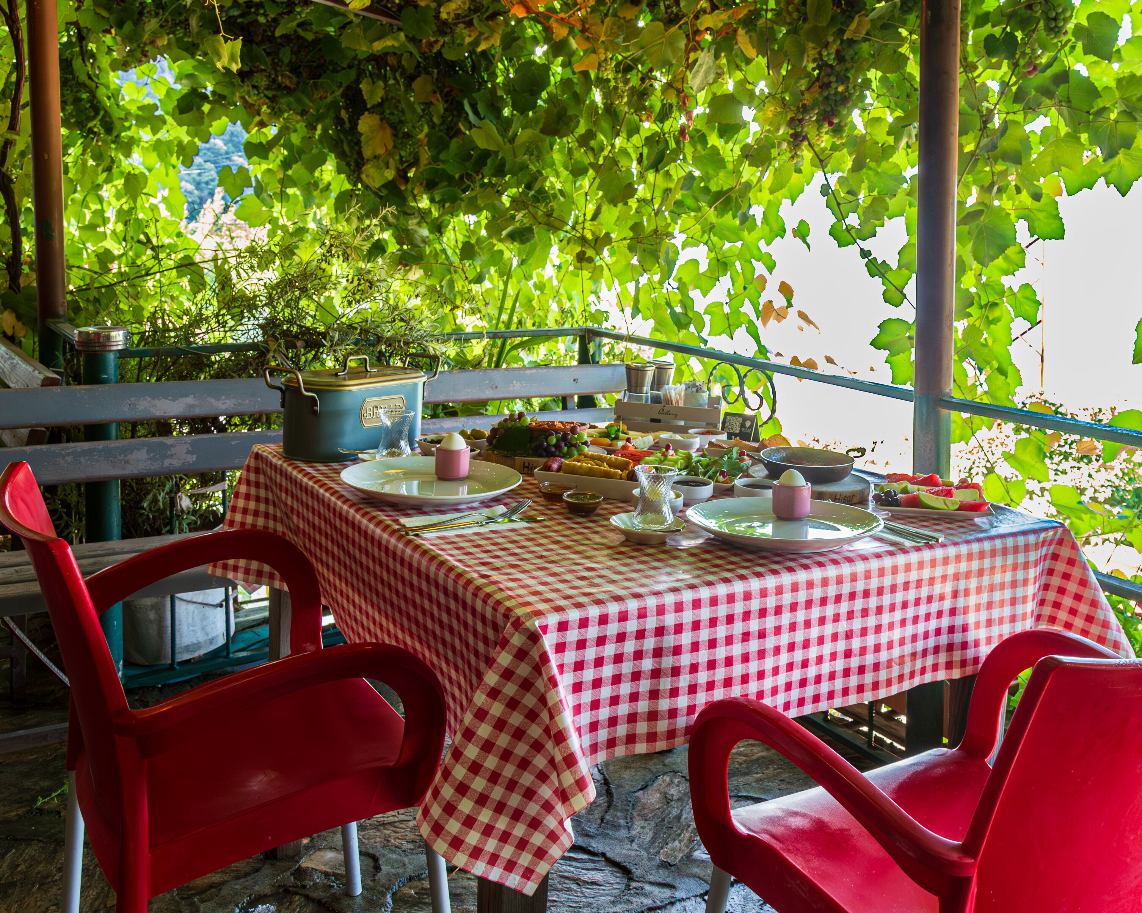 Un espacio de comedor al aire libre con mantel a cuadros, sillas rojas y una variedad de alimentos.