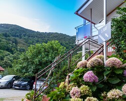 Un edificio con una escalera que sube a un balcón, rodeado de vegetación exuberante y automóviles estacionados.