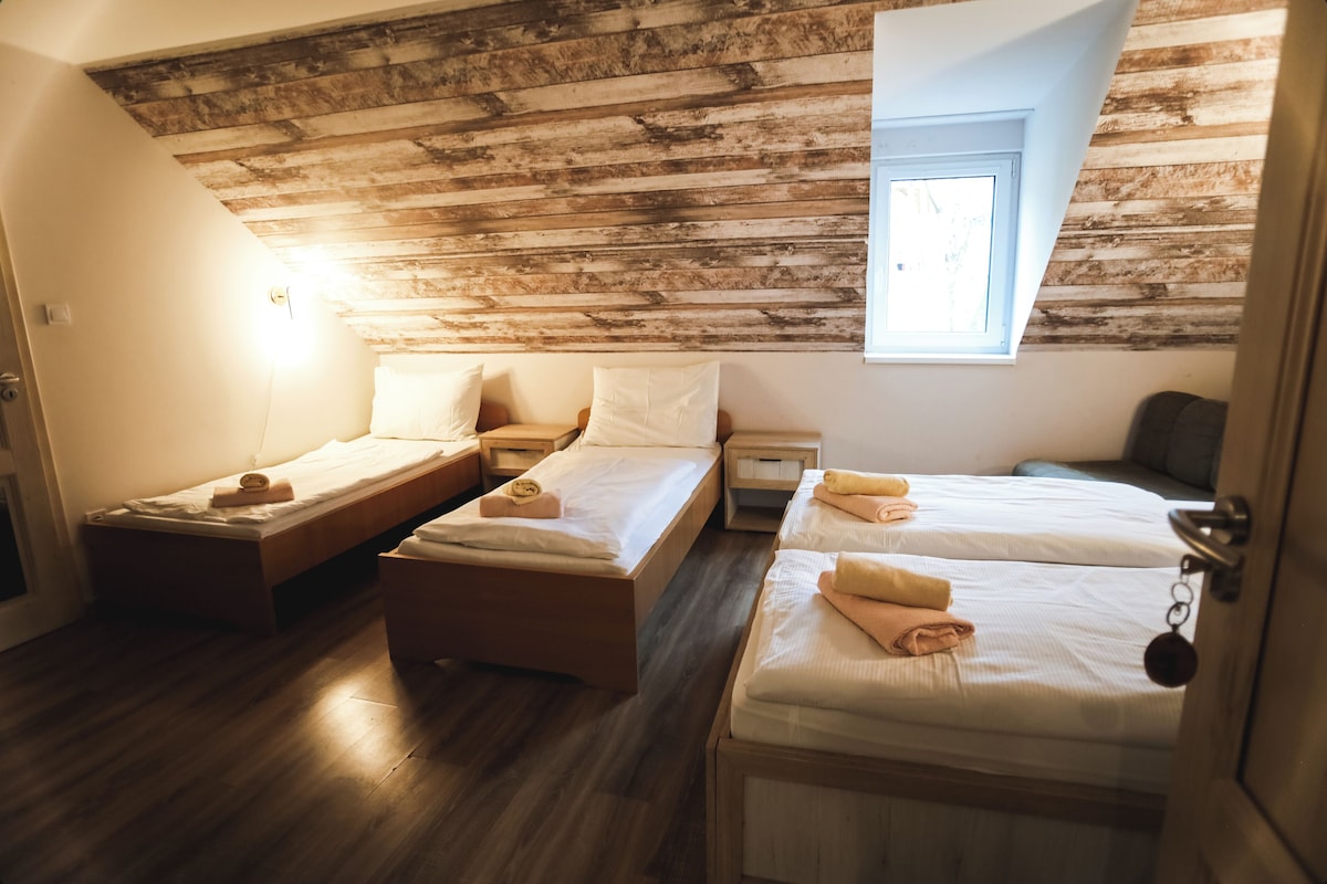 A room with three beds, wooden walls, a small window, and a door.