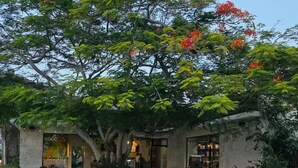 Exterior - Punta Cana Oasis Apartment: Elegant and Peaceful (Punta Cana)