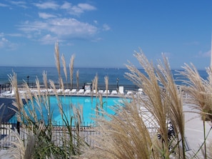 Ein Pool mit Liegestühlen, umgeben von hohem Gras, mit Blick auf den Ozean und einem wolkenlosen Himmel.