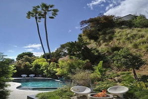 Ein Pool mit geschwungener Kante, umgeben von üppiger Vegetation und hohen Palmen.