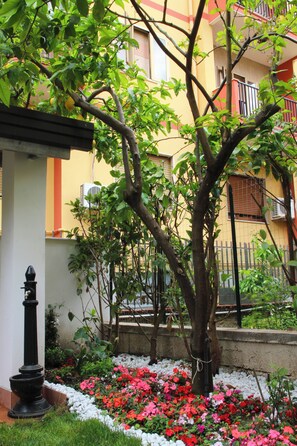 A tree with green leaves and a flower bed with red and white flowers. - A relaxing green space in the city center (Salerno)