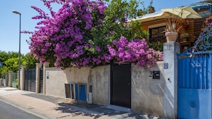 A building with a blue gate, a black door, and a wall covered with purple flowers.