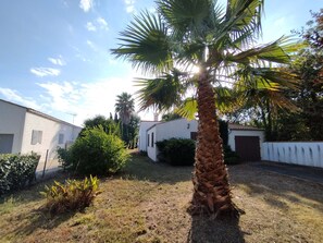 A residential area with a palm tree, a white house, and a fence. - Maison de la Boirie (Saint-Denis-d'Oléron)