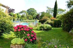 Un jardín con piscina, abundante vegetación y un árbol alto.