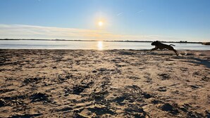 A beach with a dog running on the sand, a body of water, and a clear sky. - Coastal Bliss Holiday Home on the Großer Meer in East Frisia (Südbrookmerland)