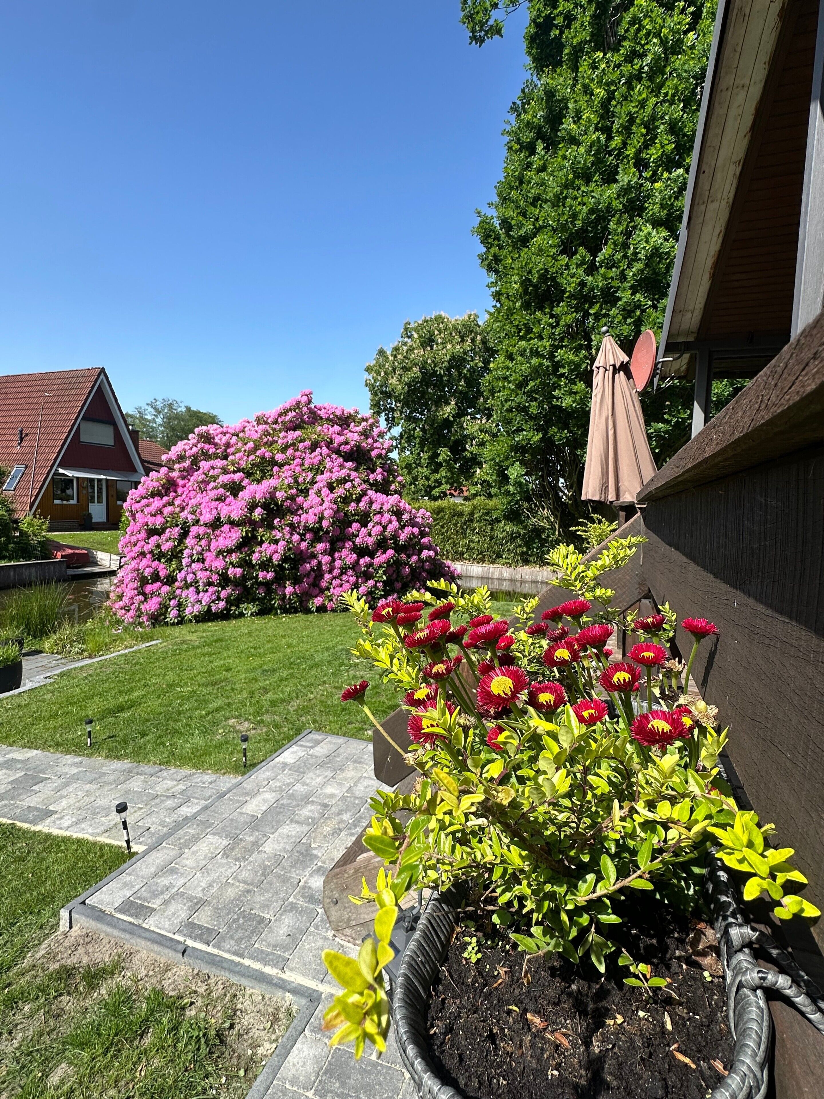 Ein Garten mit verschiedenen Blumen, einer hölzernen Bank und einem Haus mit rotem Dach.