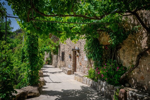 A narrow stone pathway flanked by lush greenery and rustic stone buildings. - A whole house in the mountains. Perfect for hiking and nature lovers (Farena)