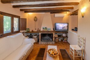 A living room with a sofa, a television, a fireplace, and a wooden ceiling. - A whole house in the mountains. Perfect for hiking and nature lovers (Farena)