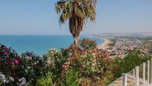 Une vue sur la côte, avec un palmier et des plantes en fleurs au premier plan.