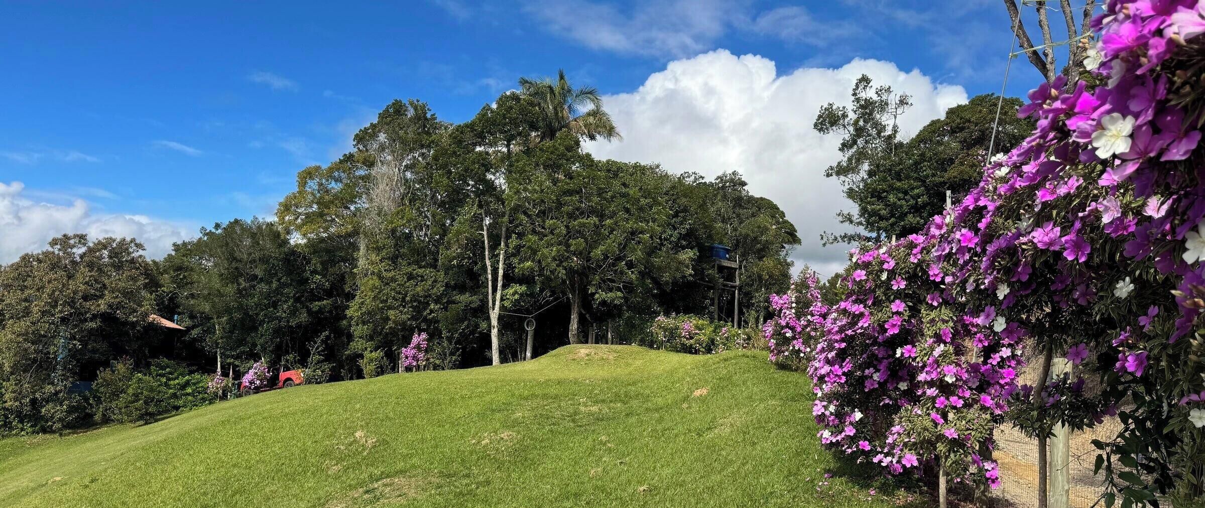 Cabin, 2 Bedrooms, Air conditioning, Mountain View | Property grounds