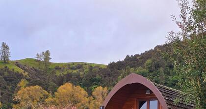 Family Pod Cabin #1