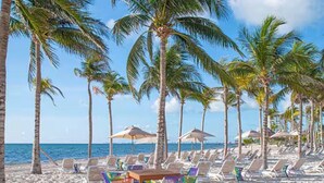 A beach with palm trees, lounge chairs, and umbrellas. - Salt Air in Cancun (Cancún)