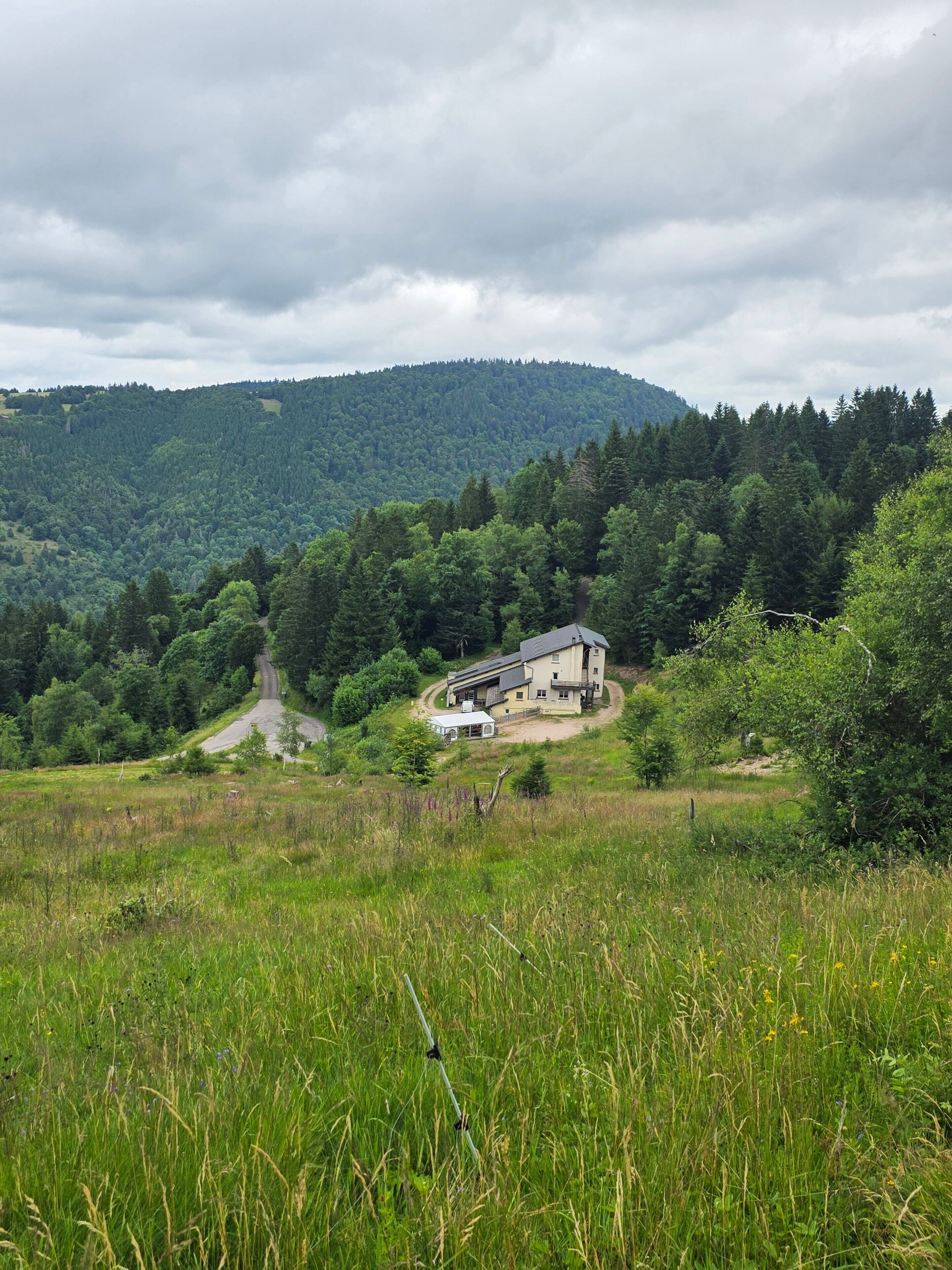 A house with a large porch, surrounded by a forested hillside.