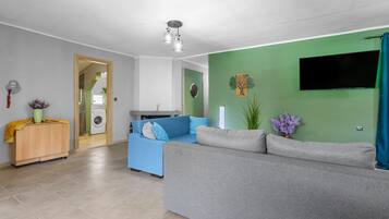 A living room with a grey sofa, a blue sofa, a wooden cabinet, a TV, and a green wall.