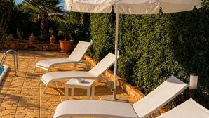A poolside area with lounge chairs and a table, surrounded by greenery and a stone pathway. - Villa Verabetta (Piano di Sopra)
