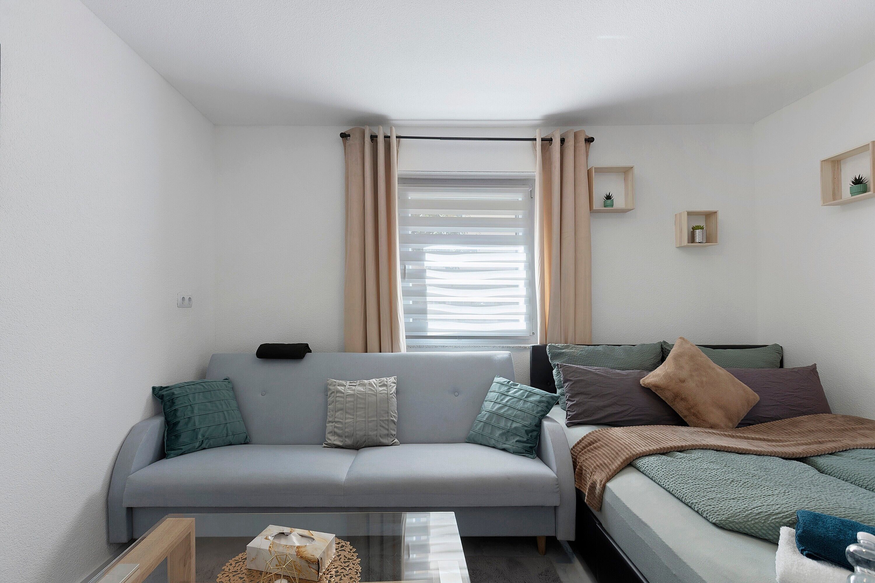 Ein kompakter Wohnraum mit grauem Sofa, einem Bett, einem Fenster mit Vorhängen und zwei kleinen, an der Wand befestigten Regalen mit Pflanzen.