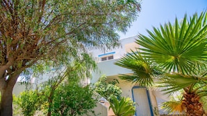 Ein Gebäude mit weißer Fassade, einer blauen Tür und einem kleinen Garten mit verschiedenen Pflanzen und einer Palme.