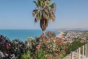 Un paisaje urbano costero con una palmera destacada y plantas con flores en primer plano.