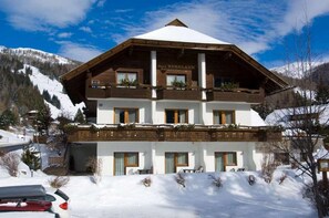 View from property - Appartements Bergland (Bad Kleinkirchheim)