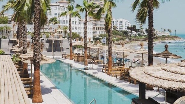 Un espace aménagé au bord de la piscine, avec des palmiers, des chaises longues et une vue sur la plage et l’océan.