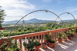 A balcony with potted plants and a view of a mountainous landscape.