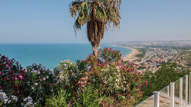 A coastal cityscape with a prominent palm tree and flowering plants in the foreground. - Miramare Suites - Camera Ardesia (Vasto)