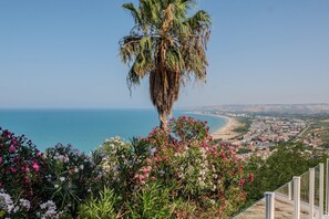 A coastal cityscape with a prominent palm tree and flowering plants in the foreground. - Miramare Suites - Camera  Ardesia (Vasto)