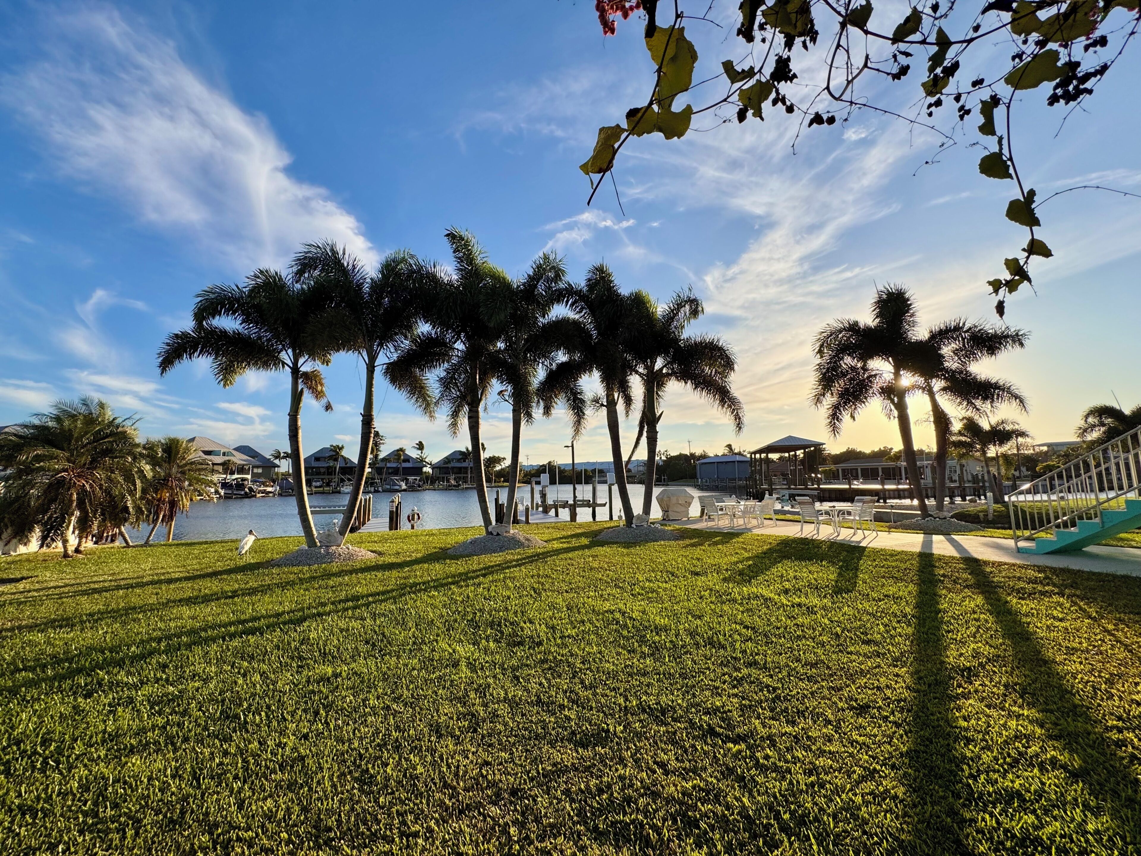 A park with a lawn, palm trees, a gazebo, and a body of water.
