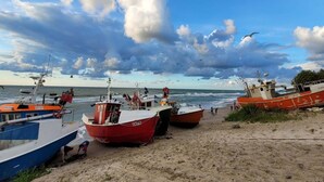 Une plage où plusieurs bateaux sont amarrés sur le sable, un ciel dégagé et quelques mouettes qui volent.