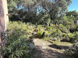 Ein Garten mit unterschiedlichen Pflanzen, Steinen und einem Weg.