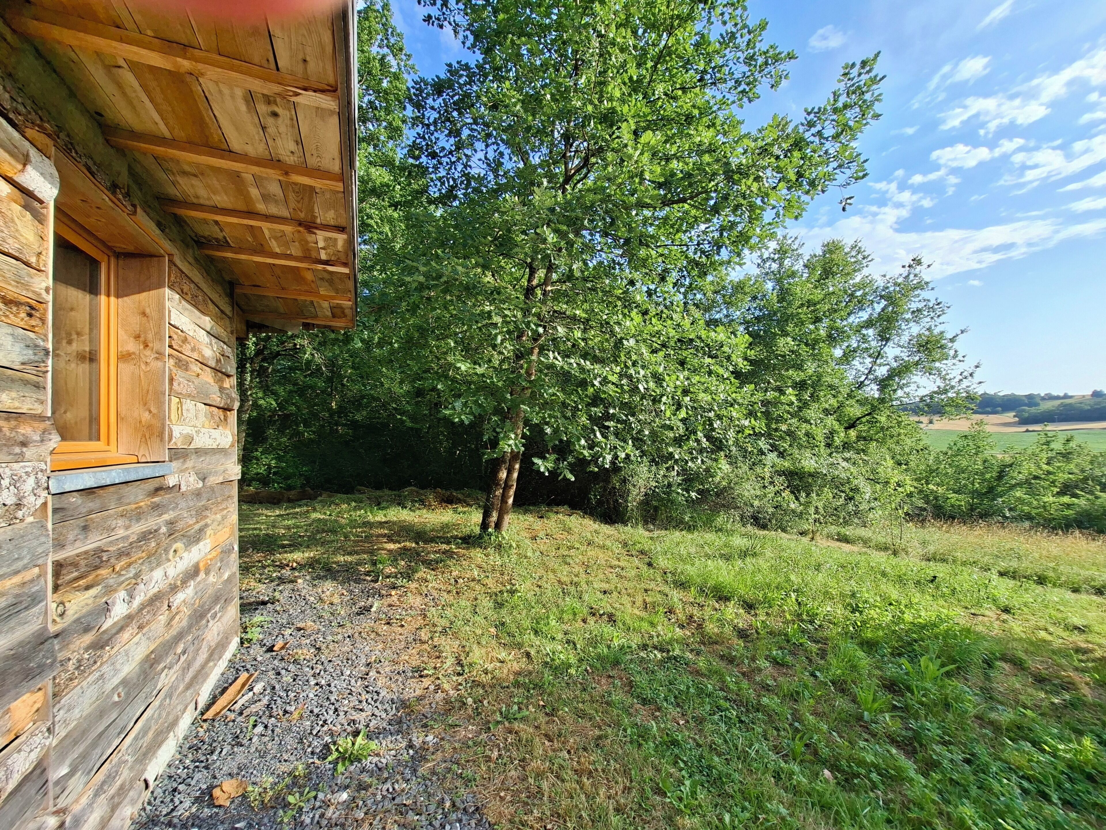 Une cabane en bois avec un chemin de gravier menant à un grand arbre.