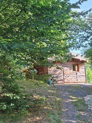 Un chalet rustique au revêtement extérieur en bois, entouré d’une végétation luxuriante.