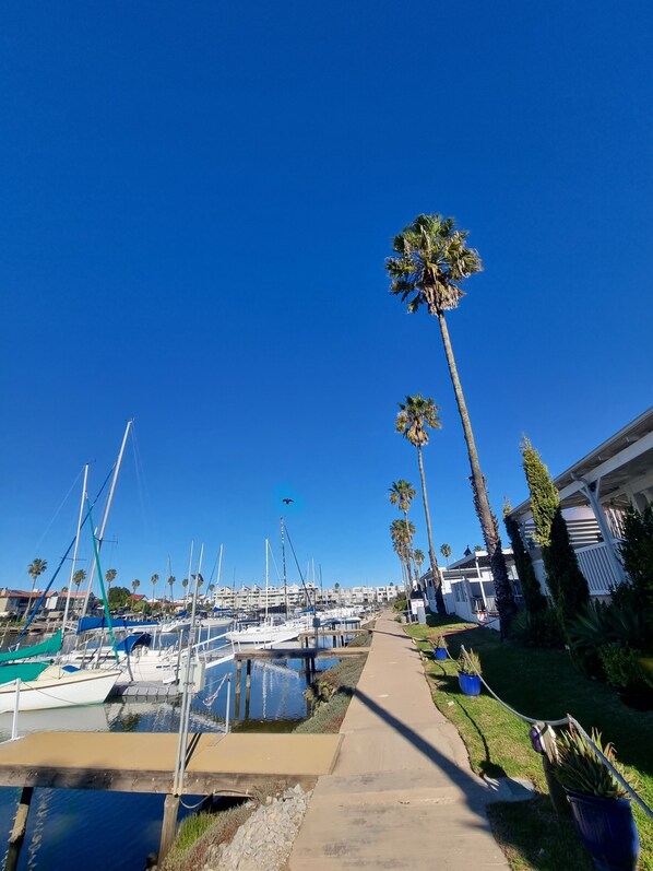 A marina with boats docked, a clear sky, and palm trees.