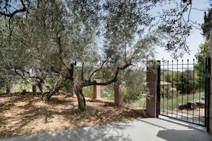 A gated area with olive trees and a clear sky. - Giannis Mountain House — Mountain Tranquility with View & Private Garden, Near Aigio (Mageiras)