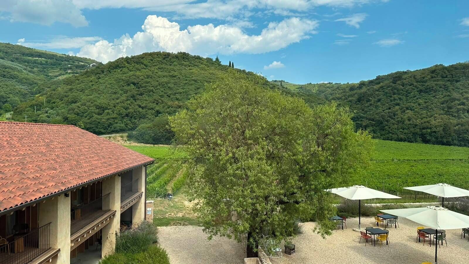 Un bâtiment avec un toit recouvert de tuiles rouges, une terrasse avec des sièges extérieurs et un vignoble en arrière-plan.