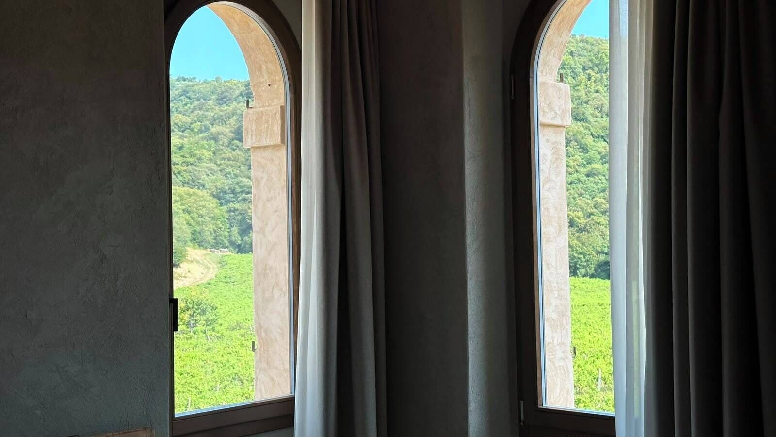 Vista al viñedo