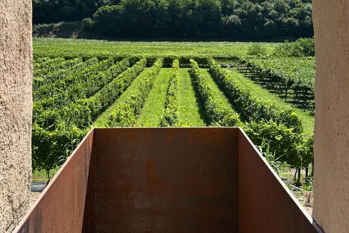 Deluxe-Doppel- oder -Zweibettzimmer, 1 King-Bett und Schlafsofa, Blick auf den Weinberg | Blick vom Balkon