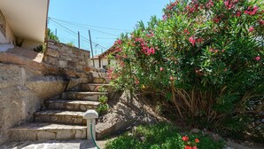 Escalones de piedra que conducen a una casa, rodeada de exuberante vegetación y plantas con flores.