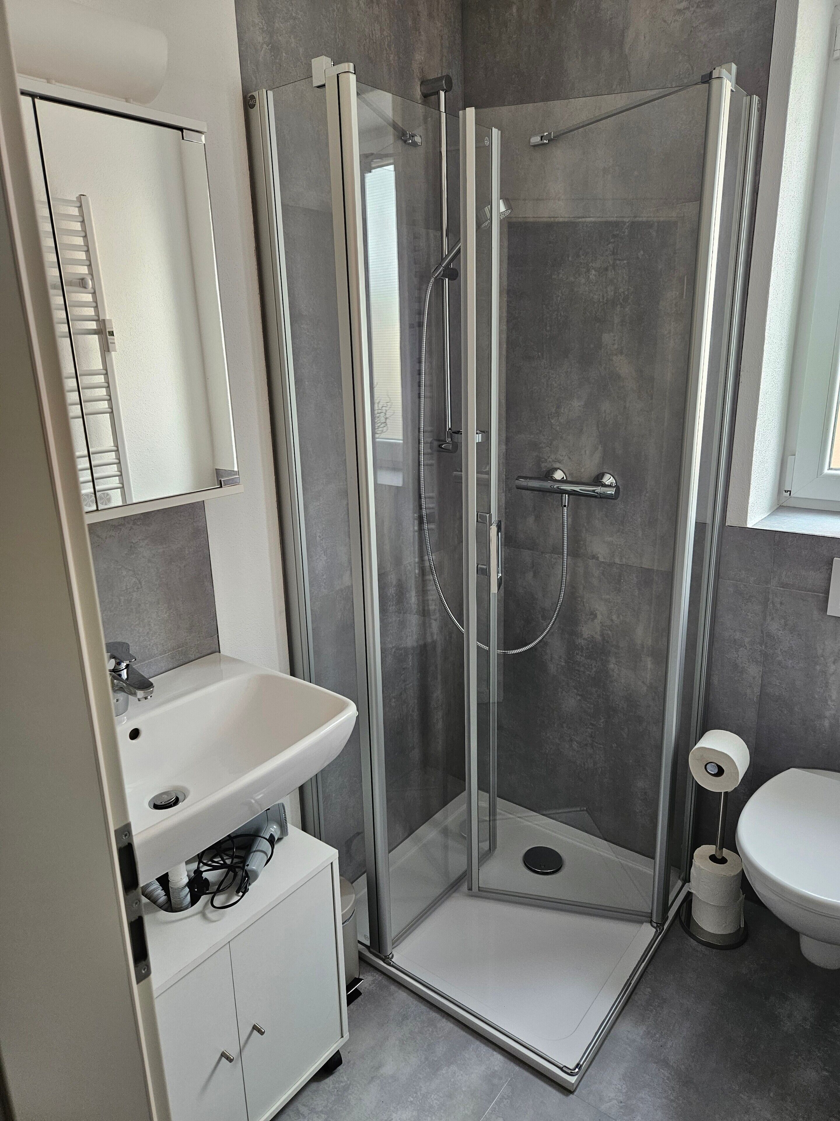 A modern bathroom with a glass-enclosed shower, a white sink, and a toilet.