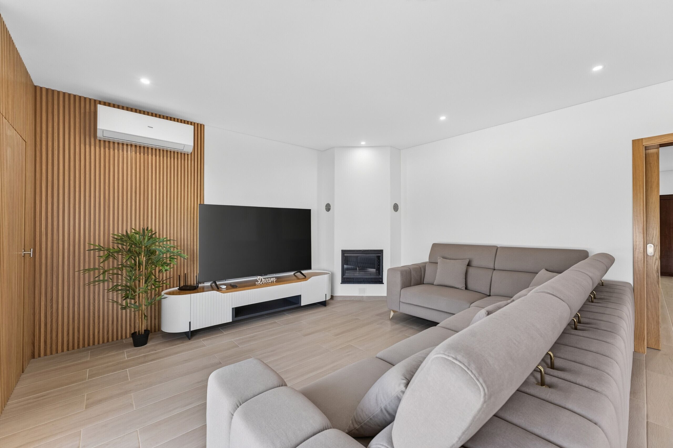 A modern living room with a flat-screen TV, a sofa, a plant, and a fireplace.