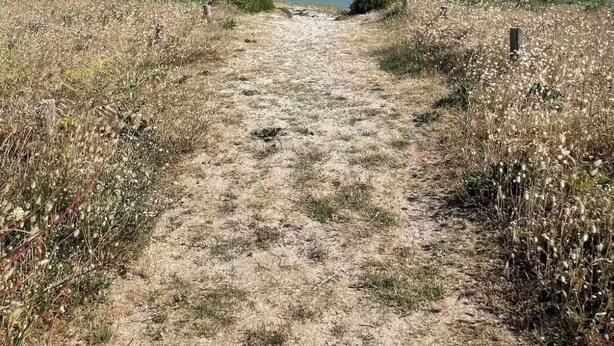 Un sendero arenoso que lleva a una playa, con una valla de madera a un lado y un velero en el agua.